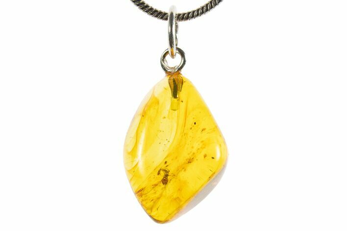 Polished Baltic Amber Pendant (Necklace) - Contains Ant! #339546